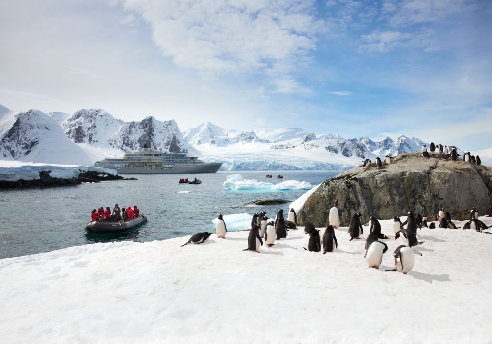 IMAGERYSS_Antarctica_04275 (1) (1)